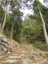 从杉洋往白溪村的路上