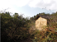 深山古屋，人去楼空