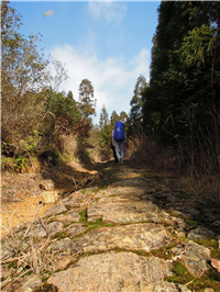 盐茶古道