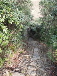 盐茶古道
