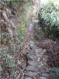 盐茶古道