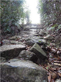 盐茶古道