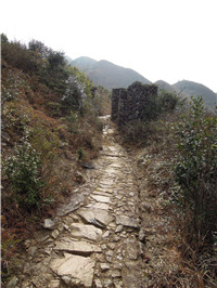盐茶古道