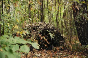 如何搭建营地和几种庇护所的搭建方法 - 野人部落