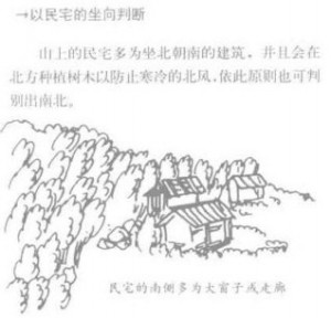 几个野外辨别方向的方法 - 野人部落