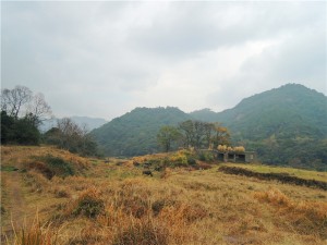 大化山之初体验 - 野人部落
