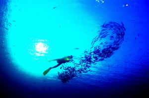 牛逼的海底捕鱼者 - 野人部落