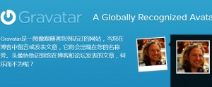 Gravatar 评论头像无法显示 - 野人部落