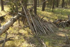 如何搭建野外紧急求生庇护所 - 野人部落