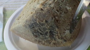 史上最恶心的奶酪：意大利蛆乳酪 - 野人部落
