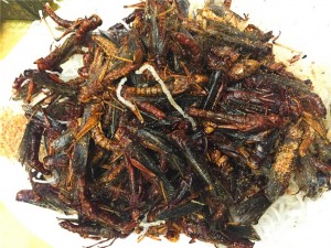 为了成为贝爷一样的人物，我也是蛮拼的！ - 野人部落