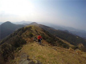 这不是最后的大姆山 - 野人部落
