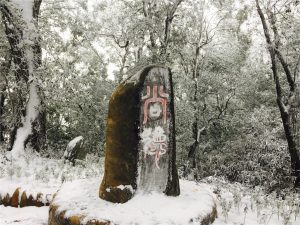 尚德村赏雪小视频 - 野人部落