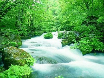 野外求生:野外水源如何过滤为饮用水